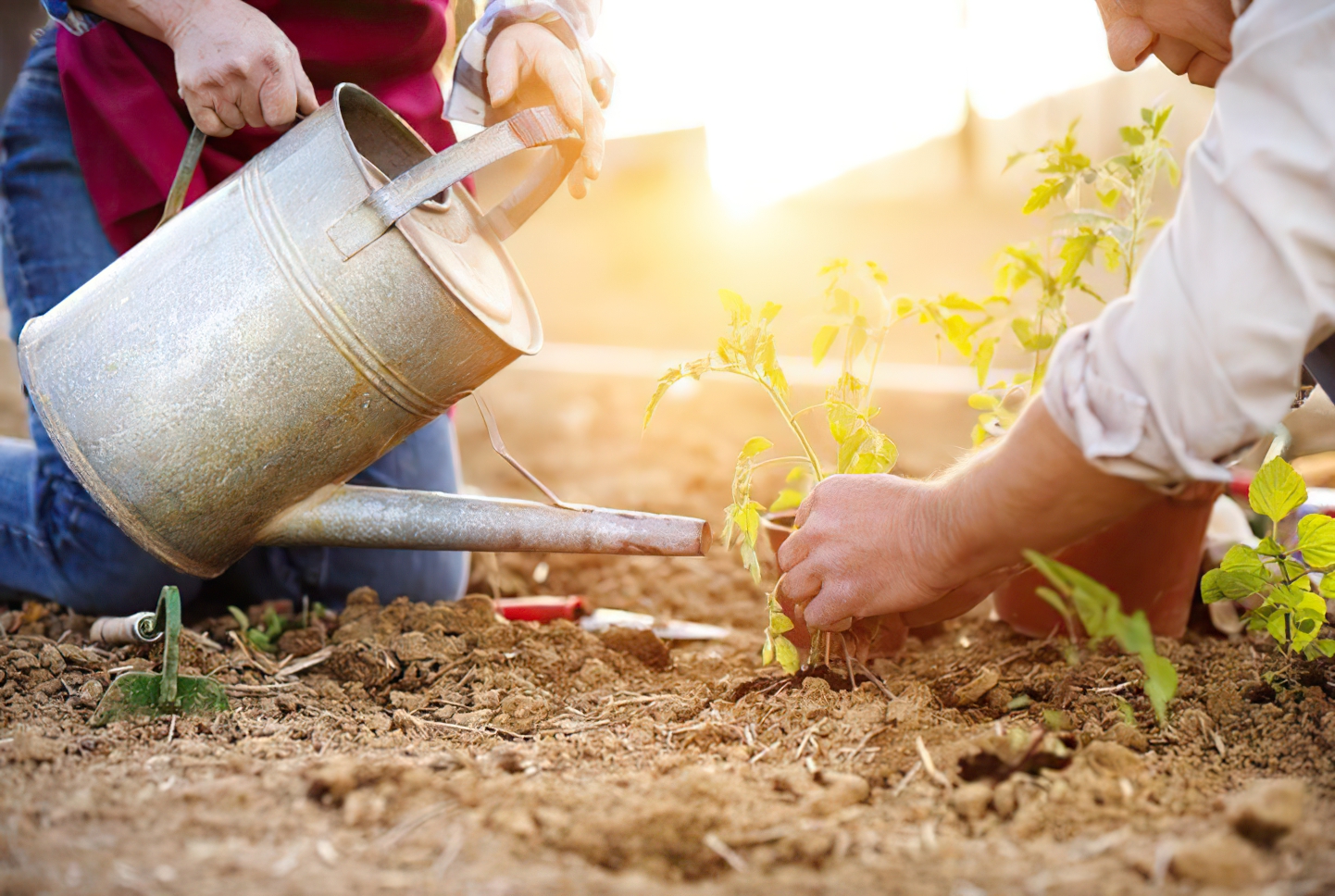 Balkon- und Gartenpflanzen: Gartenarbeiten im April