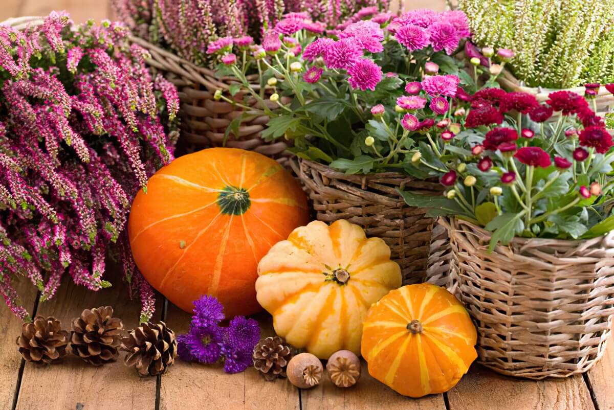 Herbst auf Balkonien