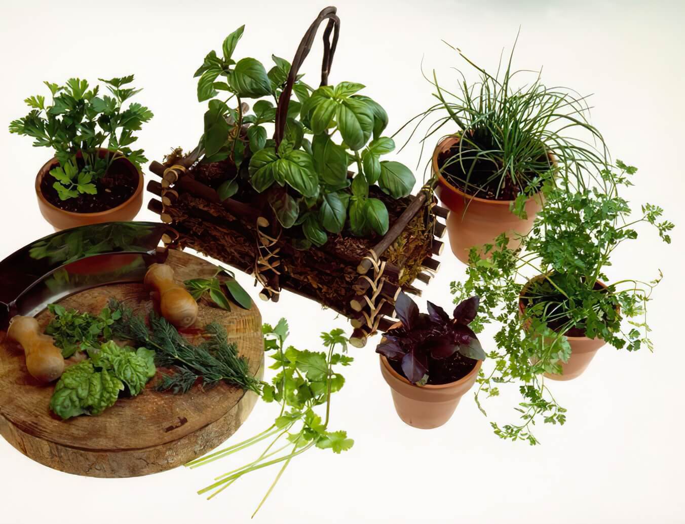 Kräutergarten auf dem Balkon