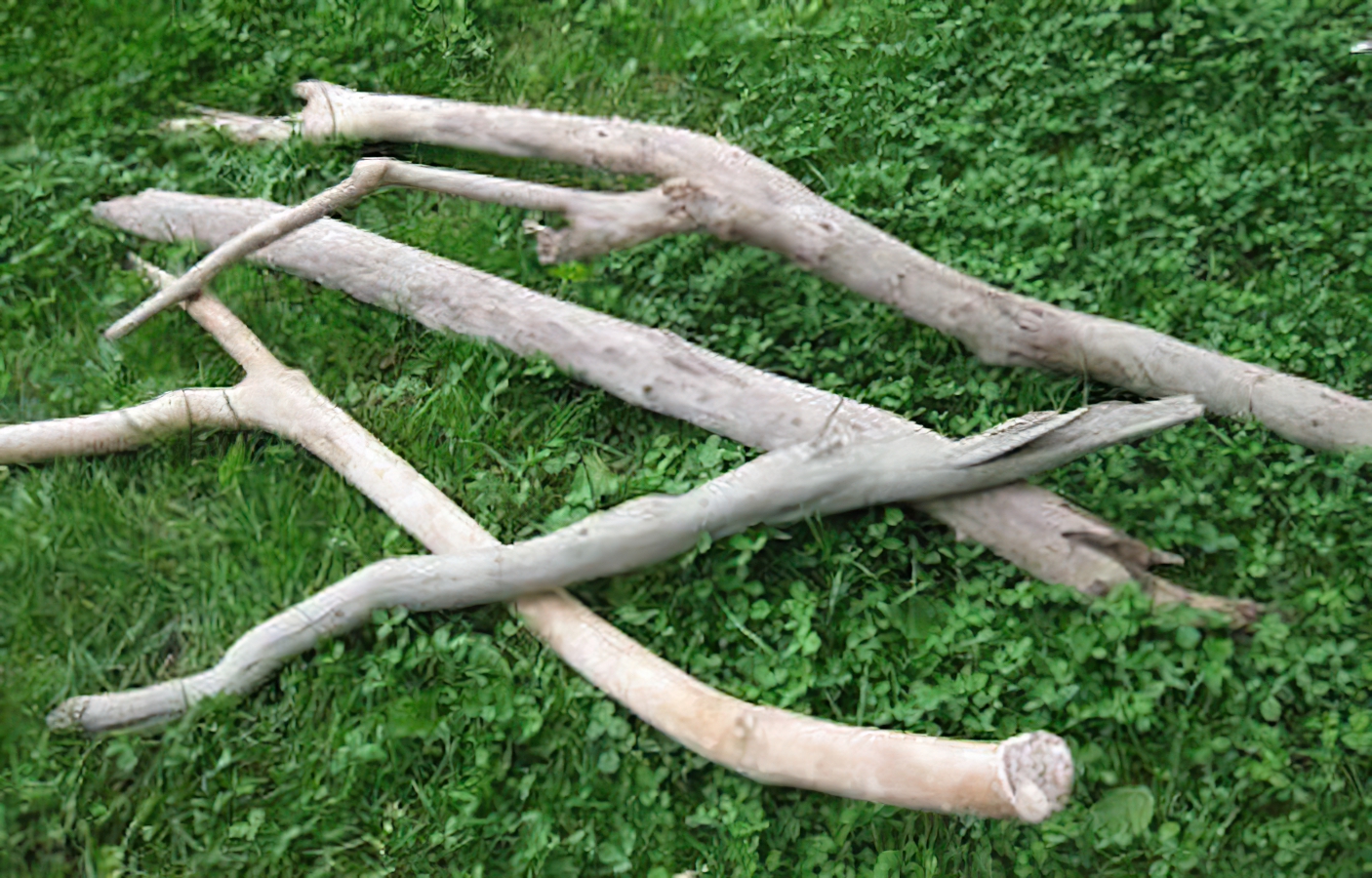 Treibholz Selbstgemacht