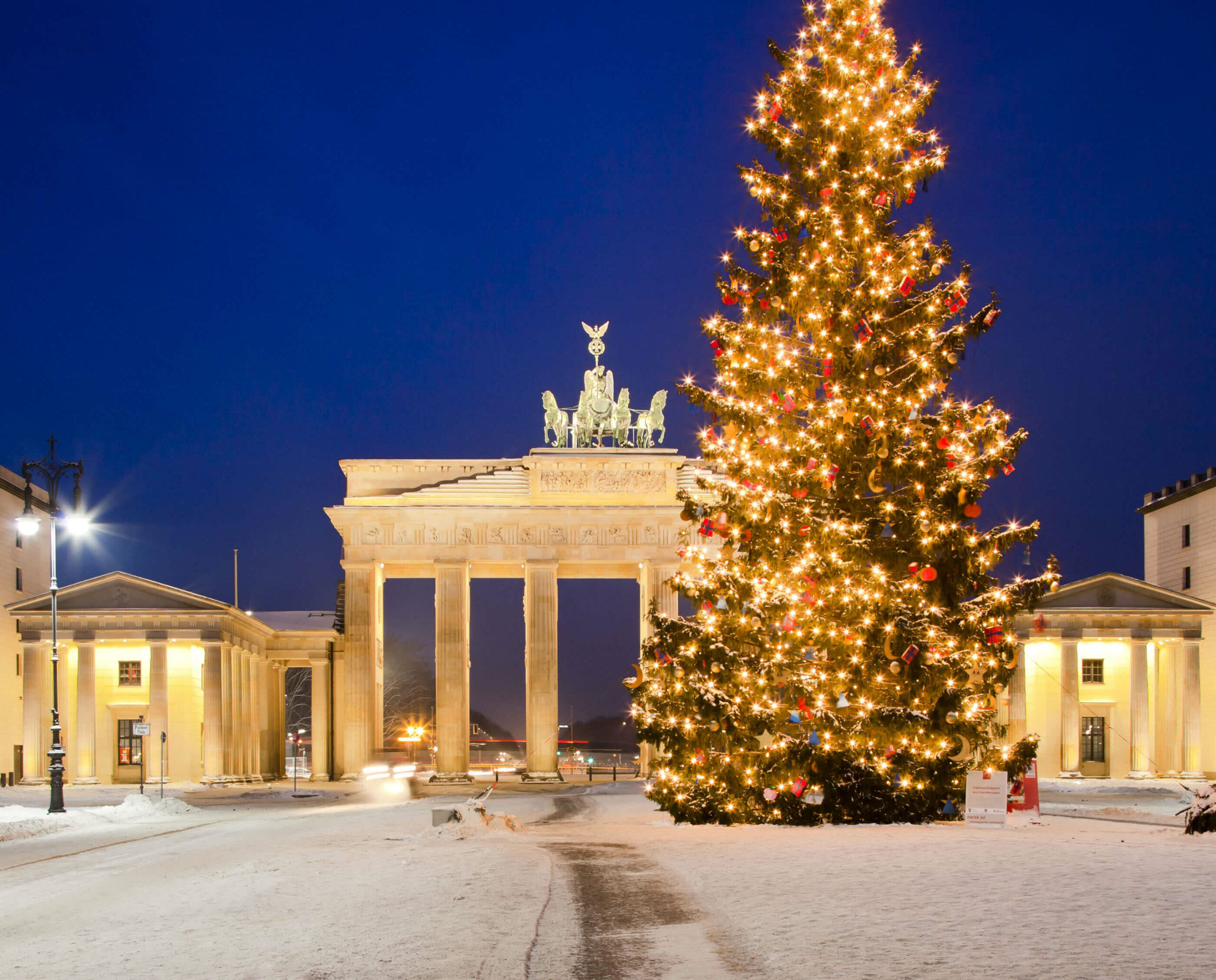 Beliebter Weihnachtstrend: Lebende Christbäume