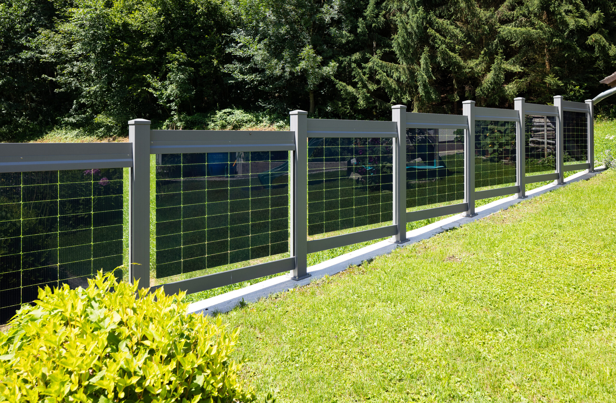 Rasenpflege im Herbst